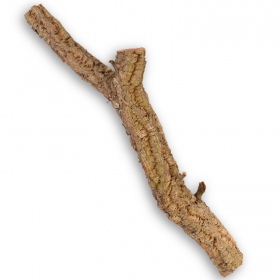 Solid Cork Oak Tree 40cm - Great for Reptiles